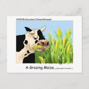 Carte Postale Cadeaux de collection de vaches de dessin animé dr