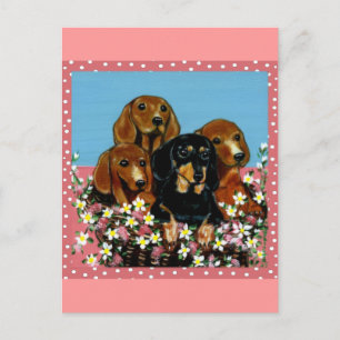 Carte Postale Cadeaux de Fête des Mères Teckel