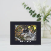 Carte Postale Cadeaux de motivation du loup gris (Debout devant)