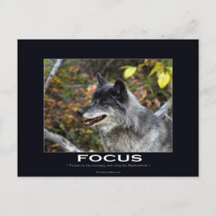 Carte Postale Cadeaux de motivation du loup gris