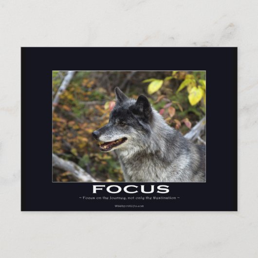 Carte Postale Cadeaux de motivation du loup gris (Devant)