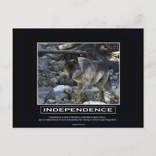 Carte Postale Cadeaux de motivation du loup gris (Devant)