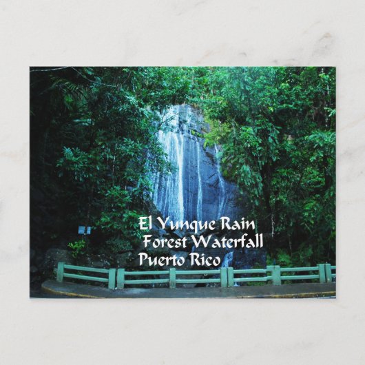 Carte Postale Cadeaux des Caraïbes (Devant)