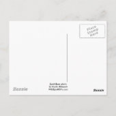 Carte Postale Cadeaux d'ours d'esprit (Dos)