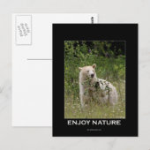 Carte Postale Cadeaux d'ours d'esprit (Devant / Derrière)