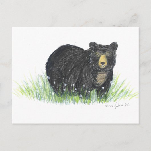 Carte Postale cadeaux d'ours noir (Devant)