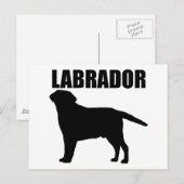 Carte Postale Cadeaux du Labrador ! (Devant / Derrière)