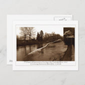 Carte Postale Cadeaux Elasmosaurus (Devant / Derrière)