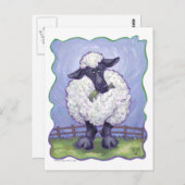 Carte Postale Cadeaux et Accessoires de Mouton (Devant / Derrière)