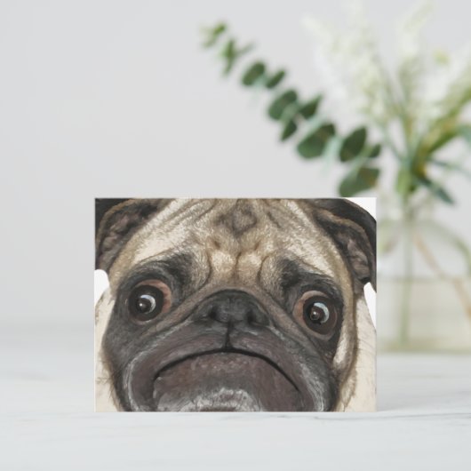 Carte Postale Cadeaux Grumpy Puggy (Debout devant)