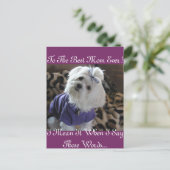 Carte Postale Cadeaux maltais (Debout devant)