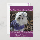 Carte Postale Cadeaux maltais (Devant / Derrière)