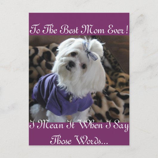 Carte Postale Cadeaux maltais (Devant)