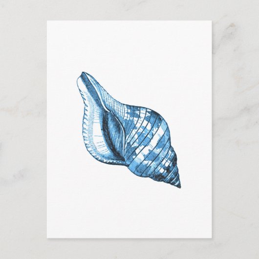 Carte Postale Cadeaux marins à coque bleue (Devant)