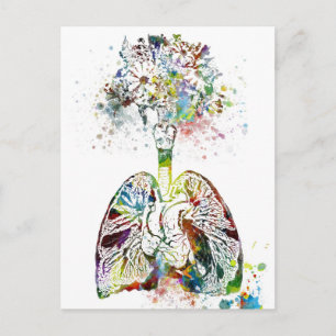 Carte Postale Cadeaux Médicales Coeur et poumons Motif