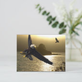 Carte Postale Cadeaux Motivationnels de l'aigle chauve (Debout devant)
