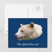 Carte Postale Cadeaux "Ours Esprit" (Devant / Derrière)