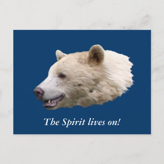 Carte Postale Cadeaux "Ours Esprit" (Devant)