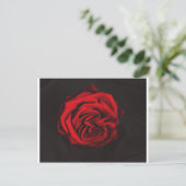 Carte Postale Cadeaux Red Rose (Debout devant)