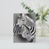 Carte Postale Cadeaux Zebra Entwins (Debout devant)
