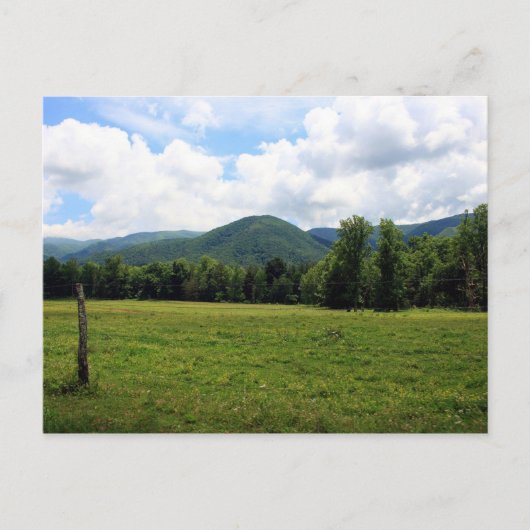 Carte Postale Cade's Cove (Devant)