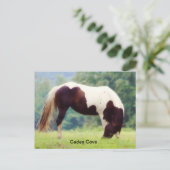 Carte postale Cades Cove (Debout devant)