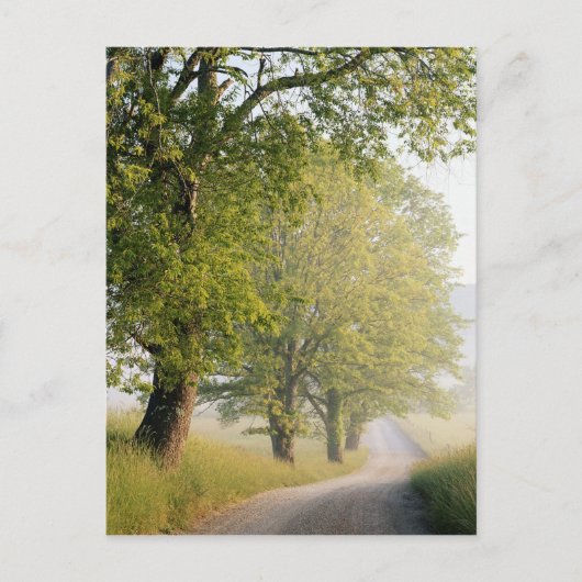 Carte Postale Cades cove | Great Smokey Mountains (Devant)