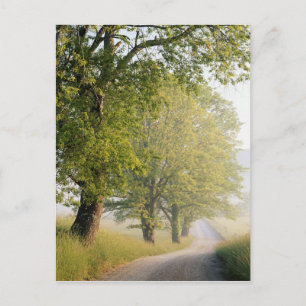 Carte Postale Cades cove   Great Smokey Mountains