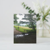 Carte Postale Cades Cove Great Smoky Mountains (Debout devant)