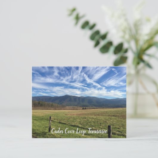 Carte Postale Cades Cove Loop, TN - Vue de champ ouverte (Debout devant)