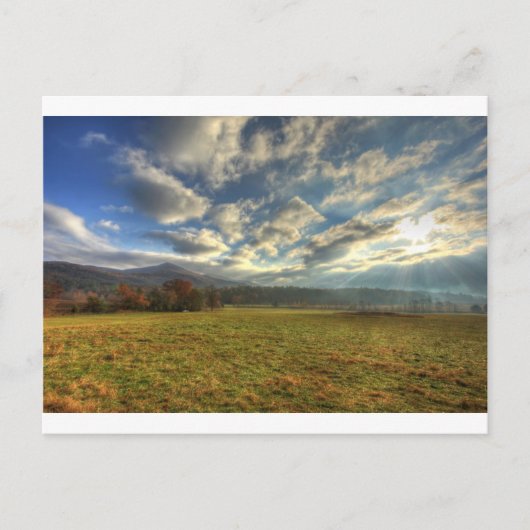 Carte Postale Cades Cove Soleil matinal (Devant)
