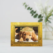 Carte Postale Cadre Doré - Forme Rectangle 8 Chien Retriever Dor (Debout devant)