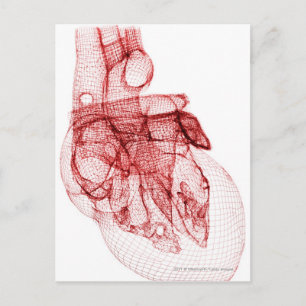 Carte Postale Cadre filaire numérique du coeur humain