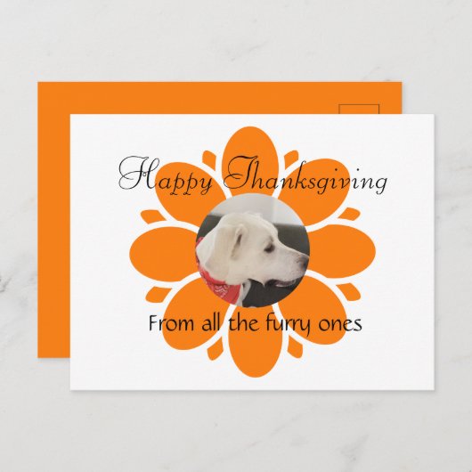 Carte Postale Cadre maman Fleur Orange mignon pour animal de com (Devant / Derrière)