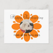 Carte Postale Cadre maman Fleur Orange mignon pour animal de com (Devant)