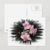 Carte Postale Cadre orchidée 1 (Devant / Derrière)