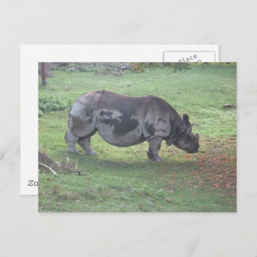 CARTE POSTALE CAE5ULC1 (Devant / Derrière)