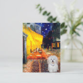 Carte Postale Café - Coton de Tulear 4b (Debout devant)