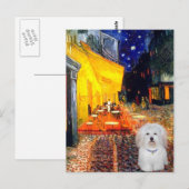 Carte Postale Café - Coton de Tulear 4b (Devant / Derrière)