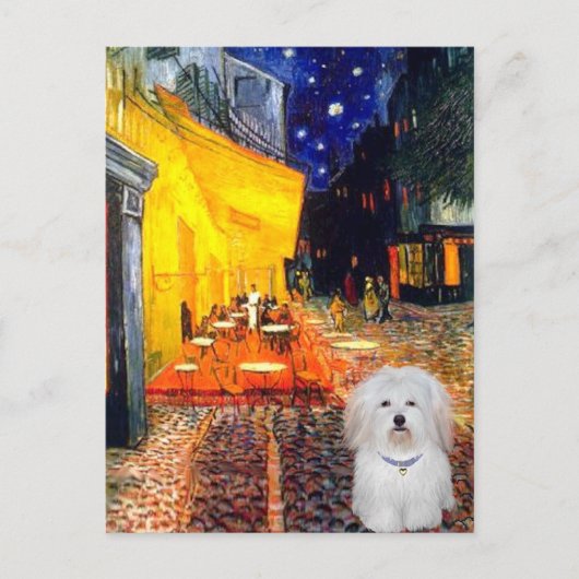 Carte Postale Café - Coton de Tulear 4b (Devant)