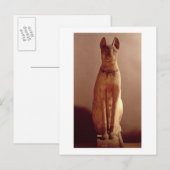 Carte Postale Café d'un chat protégé par la déesse Bastet (p (Devant / Derrière)