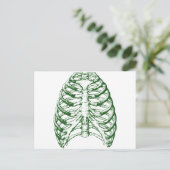 Carte Postale Cage thoracique (Debout devant)