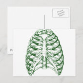 Carte Postale Cage thoracique (Devant / Derrière)