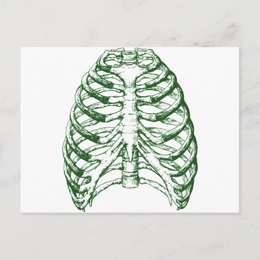 Carte Postale Cage thoracique (Devant)