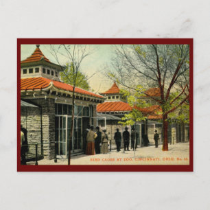 Carte Postale Cages d'oiseaux au Zoo, Cincinnati, OH Vintage