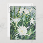 Carte postale Cahaba Lilies (Devant / Derrière)