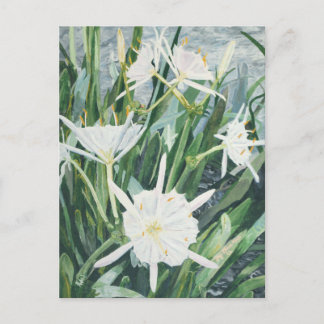 Carte postale Cahaba Lilies