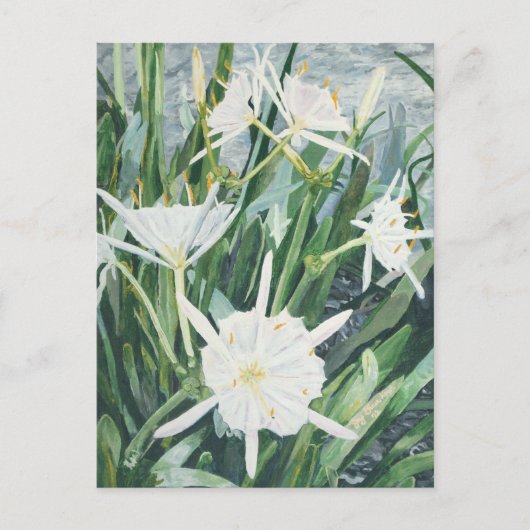 Carte postale Cahaba Lilies (Devant)