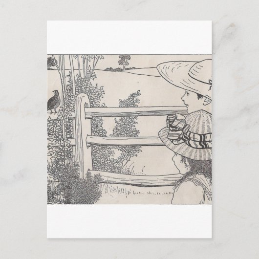 Carte Postale Caille sur un rail (Devant)