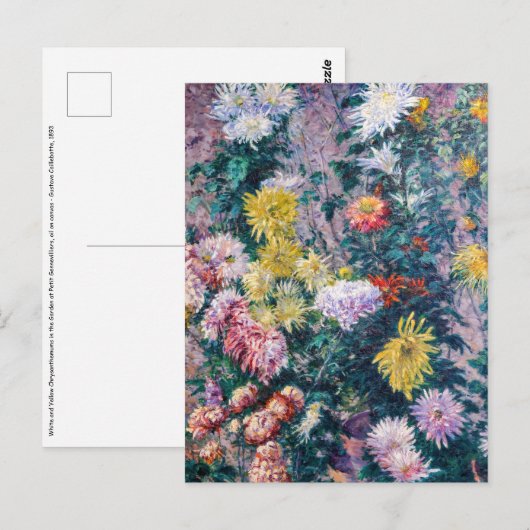 Carte Postale Caillebotte - Chrysanthèmes blancs et jaunes (Devant / Derrière)